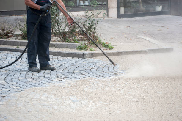 Animal Enclosure Cleaning in Gardnertown, NY